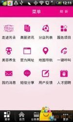 智美的记录 从开心网到武汉企业官网的创新之路